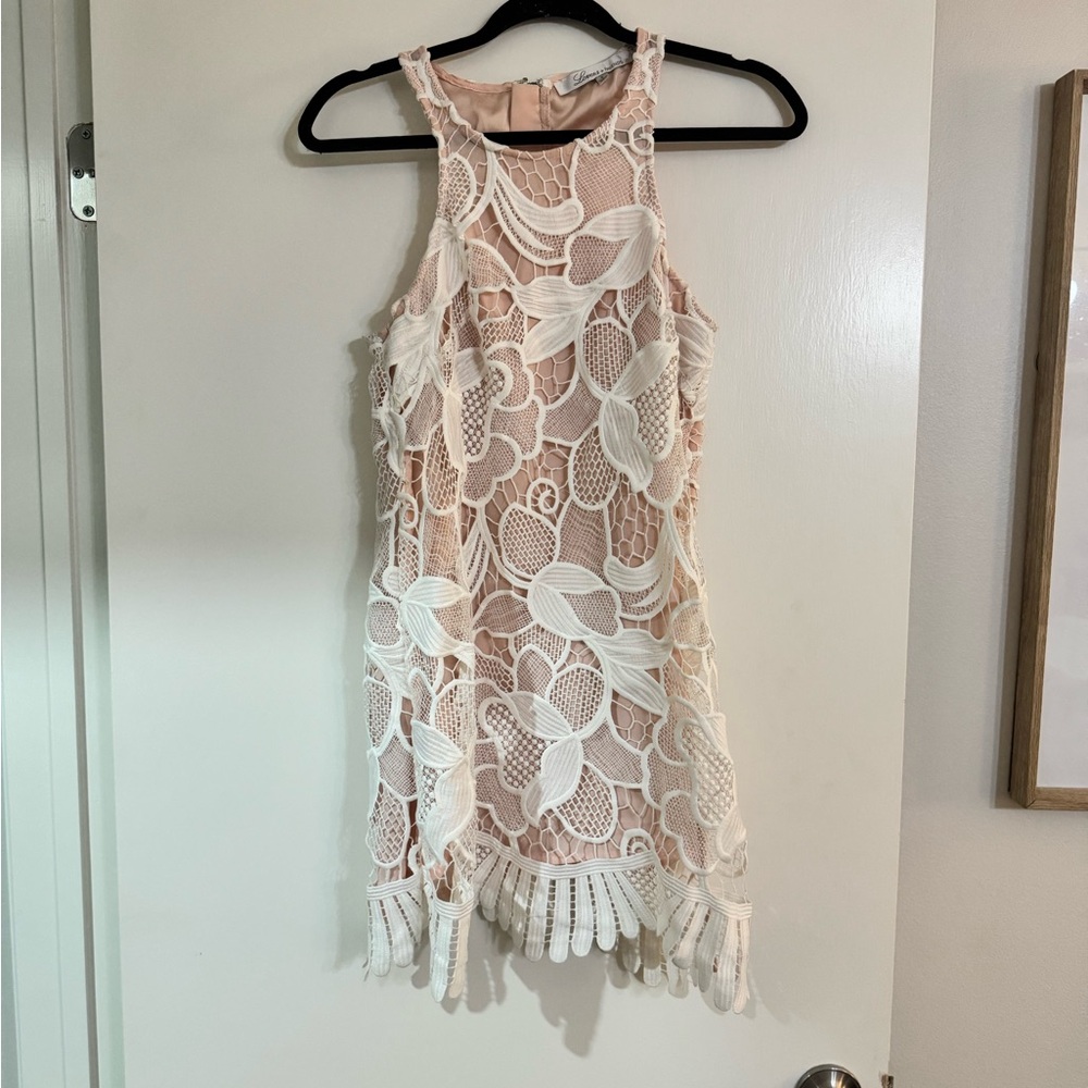 Lovers + Friends Blush Lace Dress